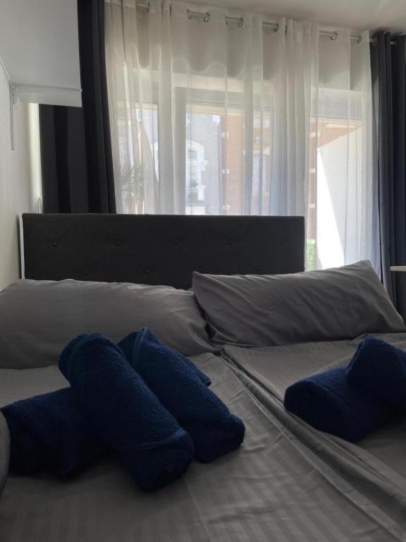 Gemuetliches Apartment Naehe Bahnhof Trier Buitenkant foto